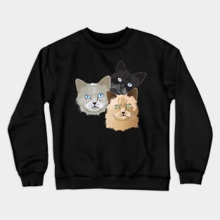 Curious cats Crewneck Sweatshirt